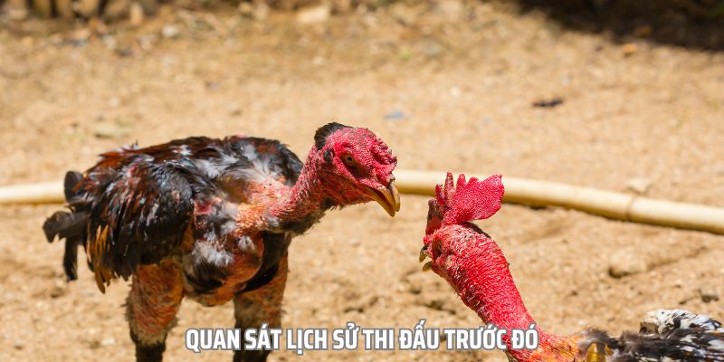 Quan sát lịch sử thi đấu trước đó sẽ giúp bạn đưa ra quyết định hợp lý